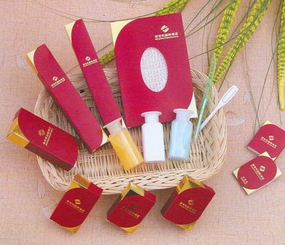 Hotel Amenity (YDRH110600)
