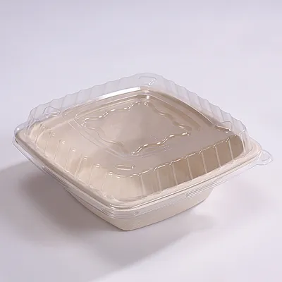 Compostable Disposable Biodegradable Tableware