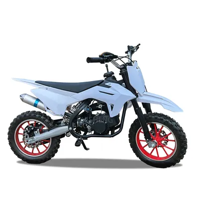 2025 New Kid Bike 2 Wheeler Kid Motorcycle 49cc 2 Stroke Dirt Bike