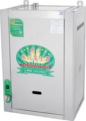 Steam Generator for Steam Chinese Bun Dumpling and Seafood