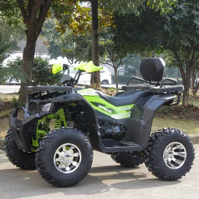 Petrol Quad Bike 200cc ATV Four Wheel for Adults