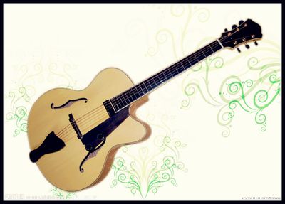 17 Inch Stock Hollow Jazz Guitar (YZ-15H01)
