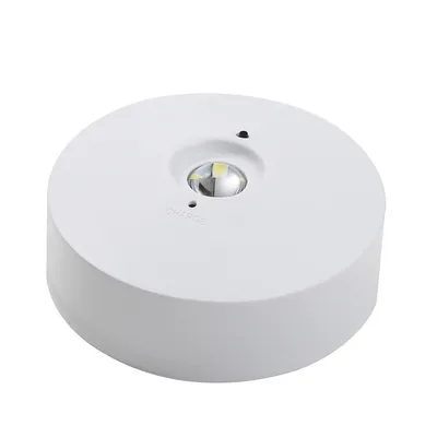 Maintained and Non-Maintained Surface Mounted Rechargebale LED Emergency Light