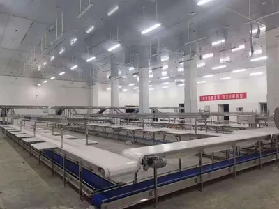 Ztl-600 Slaughter Conveyor Belt Packing Conveyor Belt