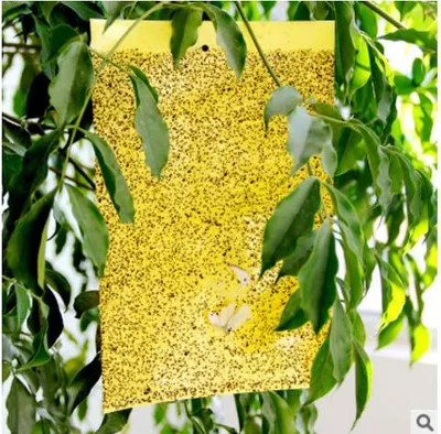 Durable Fluorescent Lamp Glue Trap