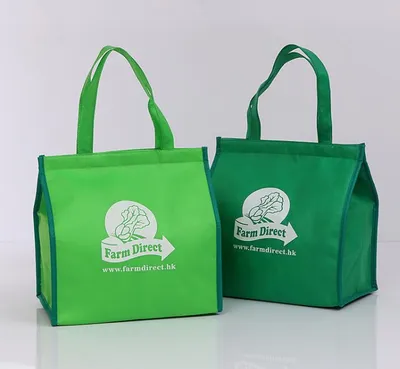 Cheap Custom Logo Non-Woven Insulation Aluminum Foil Seafood Cooler Bag