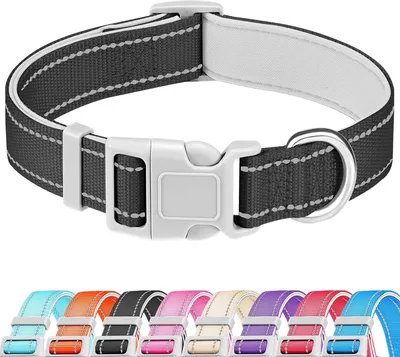 Pet Leash Designer Luxury Dog Collar