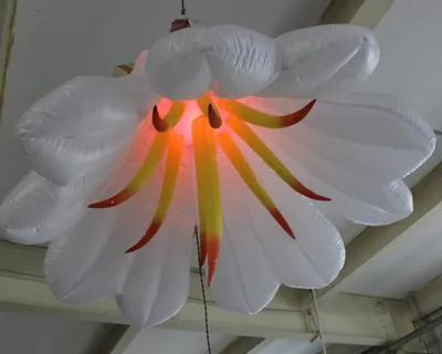2016 LED Inflatable Flower Wedding Party Decoration