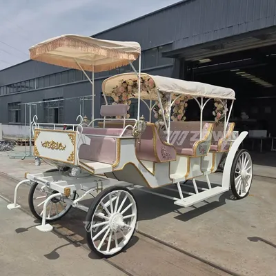 4-Wheel Park Hotel and Wedding Ceremony Tour Electric Sightseeing Carriage