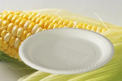 Disposable Degradable Plate (THP-28)