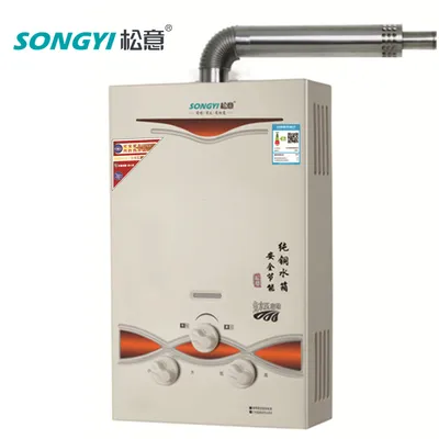 Big Capacity Gas Water Heater Wall Mounted Flue Gas for Home Appliance