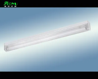 T5 Fluorescent Fixture (AY2007F)