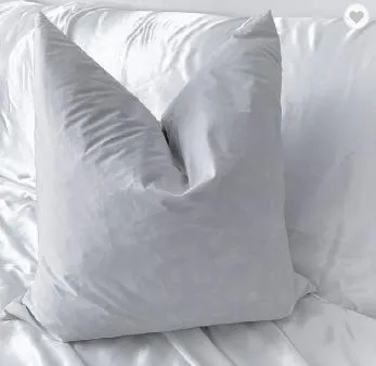 50X50cm Widely Used Pillow Insert Cushion