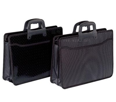 Multi- Functional Expanding Files (5113-5114)