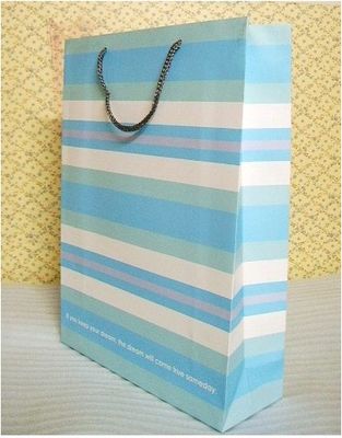 Paper Bag (ZYZ-C1)