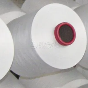 China Recycled Nylon Yarn Nylon6 DTY