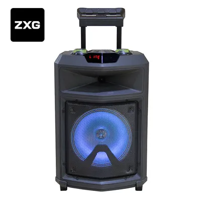 Good Selling 12inch Bluetooth Trolley Speaker Outdoor Mini Speaker