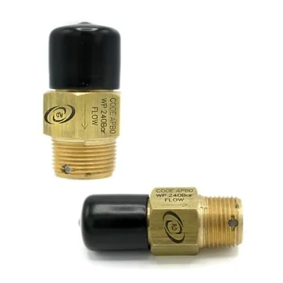 Ball Check Valve in Brass 21.8 F X 21.8 M
