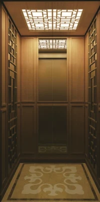 China Wholesale Supplier Home Lift