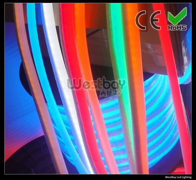 LED Neon Flex