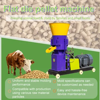 Hot Selling Flat Die Pelletizer Mini Flat Die Pellet Machine Poultry Feed Flat Die Pellet Making Machine