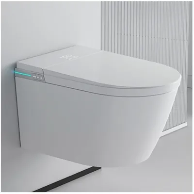 Smart Wall Hung Toilet Seat with Concealed Cistern