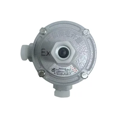 Multi - Interface Explosion - Proof Junction Box