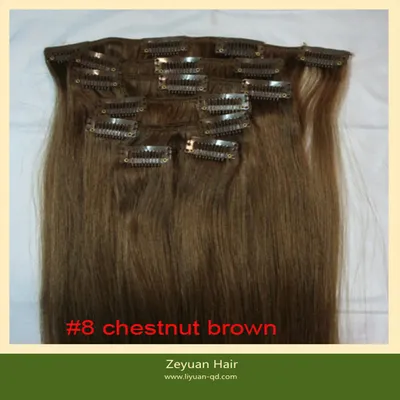 100% Human Hair Clip in Hair Extension (C-012)