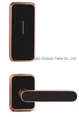 Advanced Split Type Mortise RFID Lock for Hotels