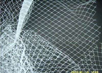 Bridal Veil 3