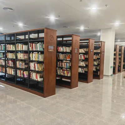 Durable Library Furniture Bookshelf with Modern Design and Best Price