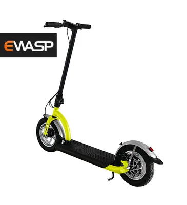 Folding Electric Scooter