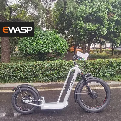 Electric Scooters for Adults