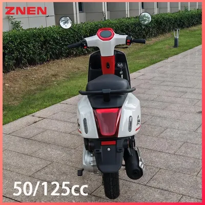 EEC 50cc Scooter Robust Motorbike Engineered for Durability and Low Maintenance