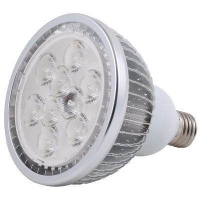 New Style 10W LED PAR30 Light