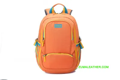 OEM&ODM Waterproof Nylon Laptop Backpack for School & Travel