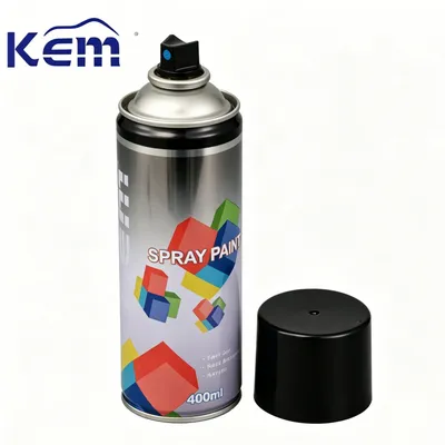Automobile Aerosol Spray Paint Iron Door Paint Spray Colors