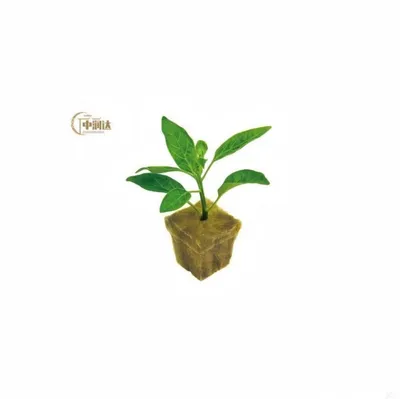 Rock Wool for Plant Agricultural Hydroponic Rock Wool