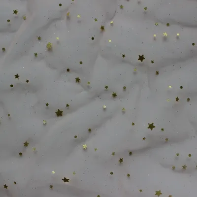 Polyester Mesh Punching Sequin Print Fabric