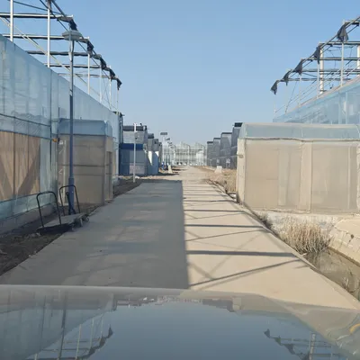 Multi-Span Agricultural Greenhouse Ventilation Fan with PC Sheet Cover