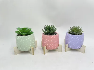 Set of 3 Potted Faux Succulent Wood Base