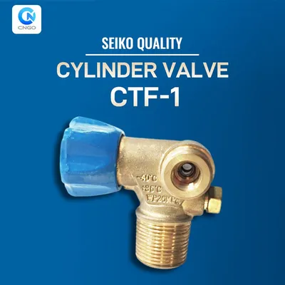 Ctf-1 ISO15500 Certified CNG Gas Cylinder Valve