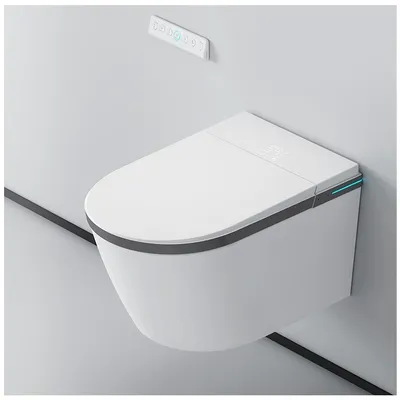 China Wall Hung Smart Toilet with Concealed Cistern