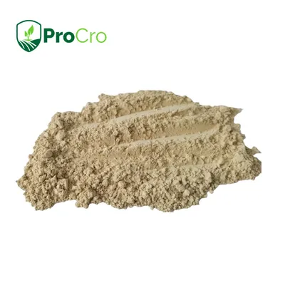 Biopesticide Insecticide Bacterium Bacillus Thuringiensis (BT) Bacteria Thuringiensis