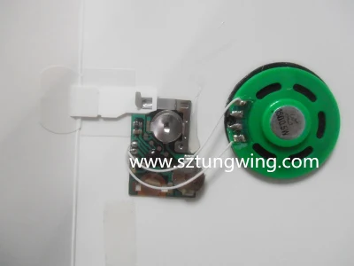 Music Chip for Greeting Card (TS-041)
