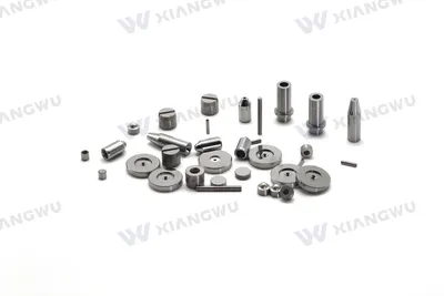 High-Wear-Resistance Tc Carbide Nozzles for Peening with Fast Delivery