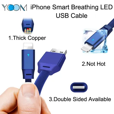 High Quality LED Light 2.4A Fast Charging USB Data Cable for iPhone