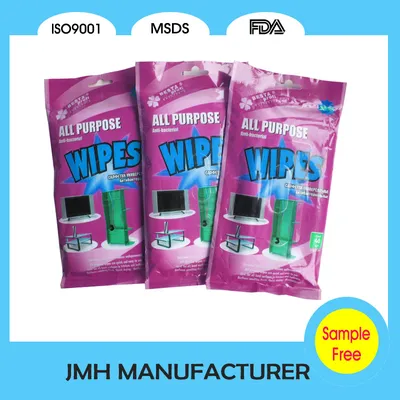 Hot Sale Multifunctional Disposable Wet Tissue (MW051)