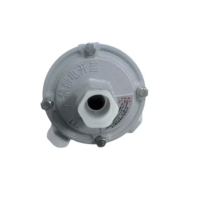 IP65 IP66 Aluminum Alloy Explosion-Proof Junction Box Waterproof Junction Box