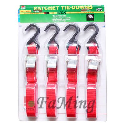 Buckle Tie Down (M275)